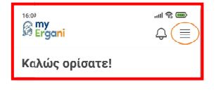 ΕΡΓΑΝΗ